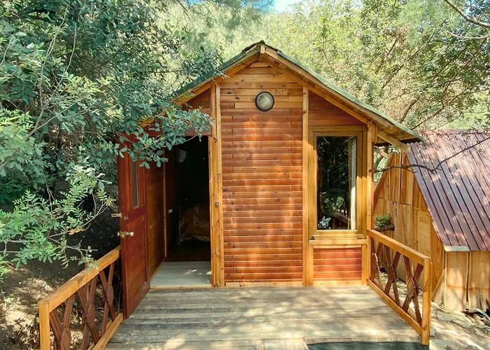Deluxe Bungalow