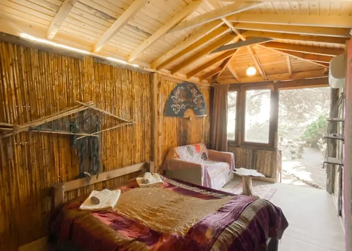 Deluxe Bungalow